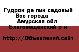 Гудрон де пин садовый - Все города  »    . Амурская обл.,Благовещенский р-н